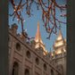 Salt Lake City Temple He Giveth Light