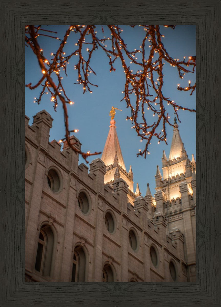 Salt Lake City Temple He Giveth Light