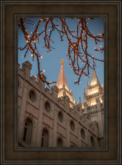 Salt Lake City Temple He Giveth Light