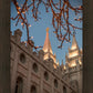 Salt Lake City Temple He Giveth Light