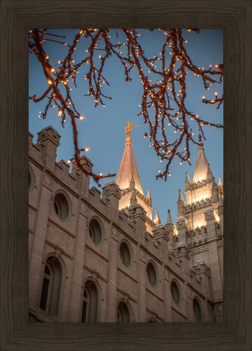 Salt Lake City Temple He Giveth Light