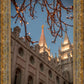 Salt Lake City Temple He Giveth Light