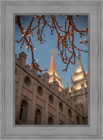 Salt Lake City Temple He Giveth Light