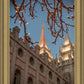 Salt Lake City Temple He Giveth Light