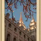 Salt Lake City Temple He Giveth Light