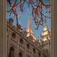 Salt Lake City Temple He Giveth Light