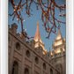 Salt Lake City Temple He Giveth Light