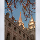 Salt Lake City Temple He Giveth Light