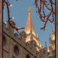 Salt Lake City Temple He Giveth Light