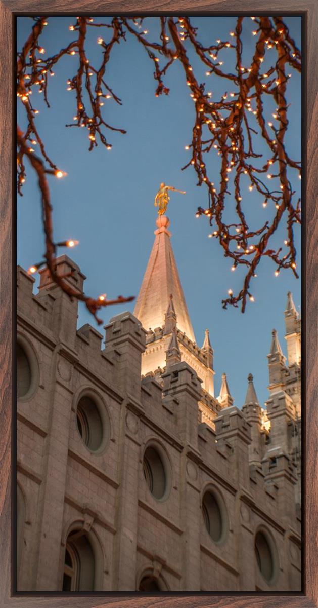 Salt Lake City Temple He Giveth Light