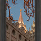 Salt Lake City Temple He Giveth Light