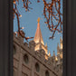 Salt Lake City Temple He Giveth Light