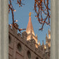 Salt Lake City Temple He Giveth Light