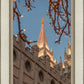 Salt Lake City Temple He Giveth Light