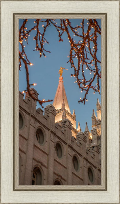Salt Lake City Temple He Giveth Light