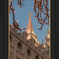 Salt Lake City Temple He Giveth Light