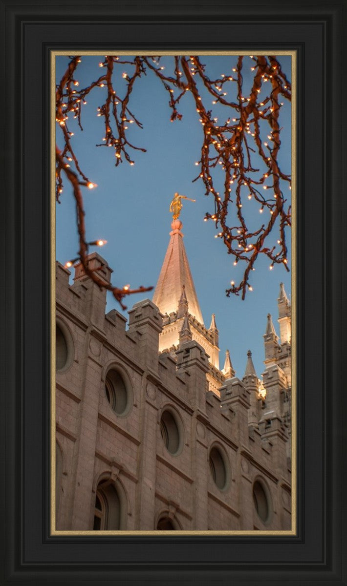 Salt Lake City Temple He Giveth Light