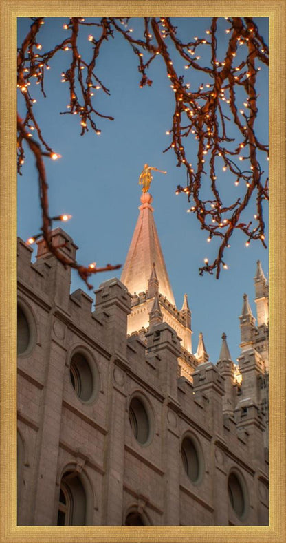 Salt Lake City Temple He Giveth Light