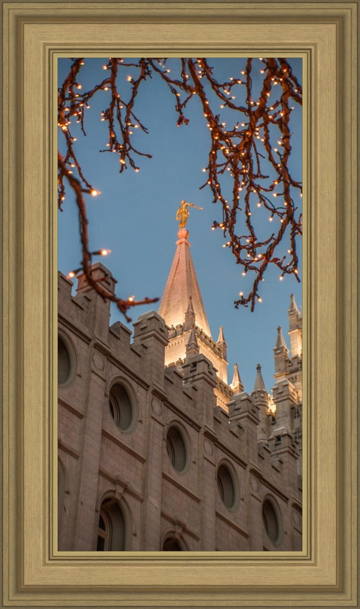 Salt Lake City Temple He Giveth Light
