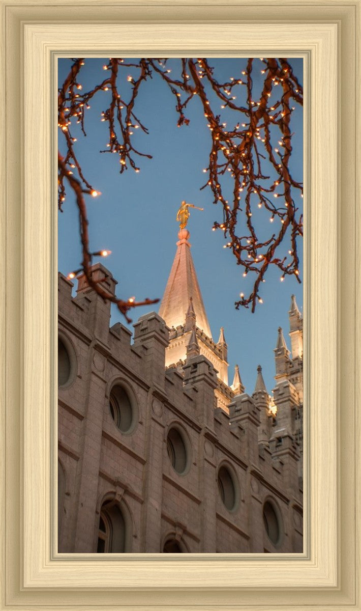 Salt Lake City Temple He Giveth Light