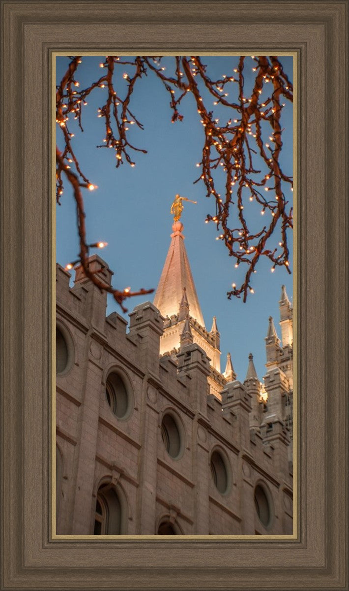 Salt Lake City Temple He Giveth Light