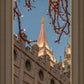 Salt Lake City Temple He Giveth Light