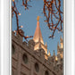 Salt Lake City Temple He Giveth Light