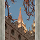 Salt Lake City Temple He Giveth Light