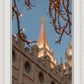 Salt Lake City Temple He Giveth Light