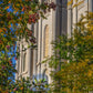 Salt Lake City Temple His Declaration