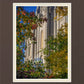 Salt Lake City Temple His Declaration