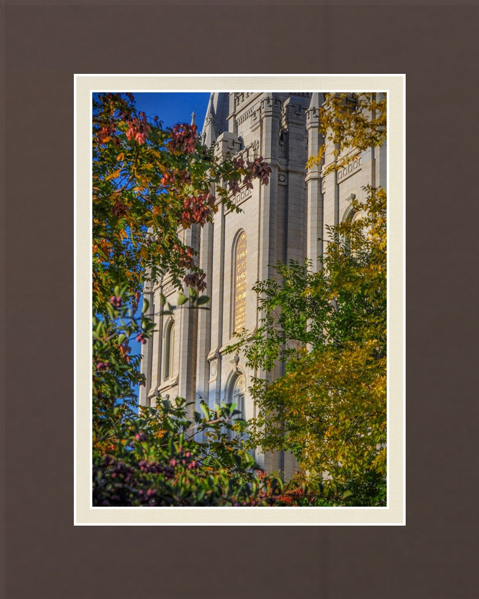 Salt Lake City Temple His Declaration