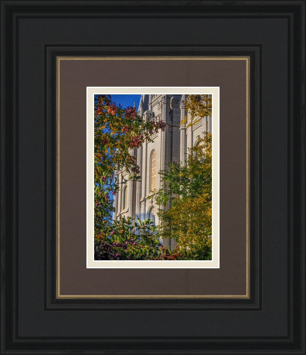 Salt Lake City Temple His Declaration