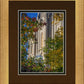 Salt Lake City Temple His Declaration