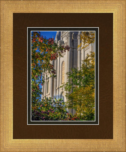 Salt Lake City Temple His Declaration