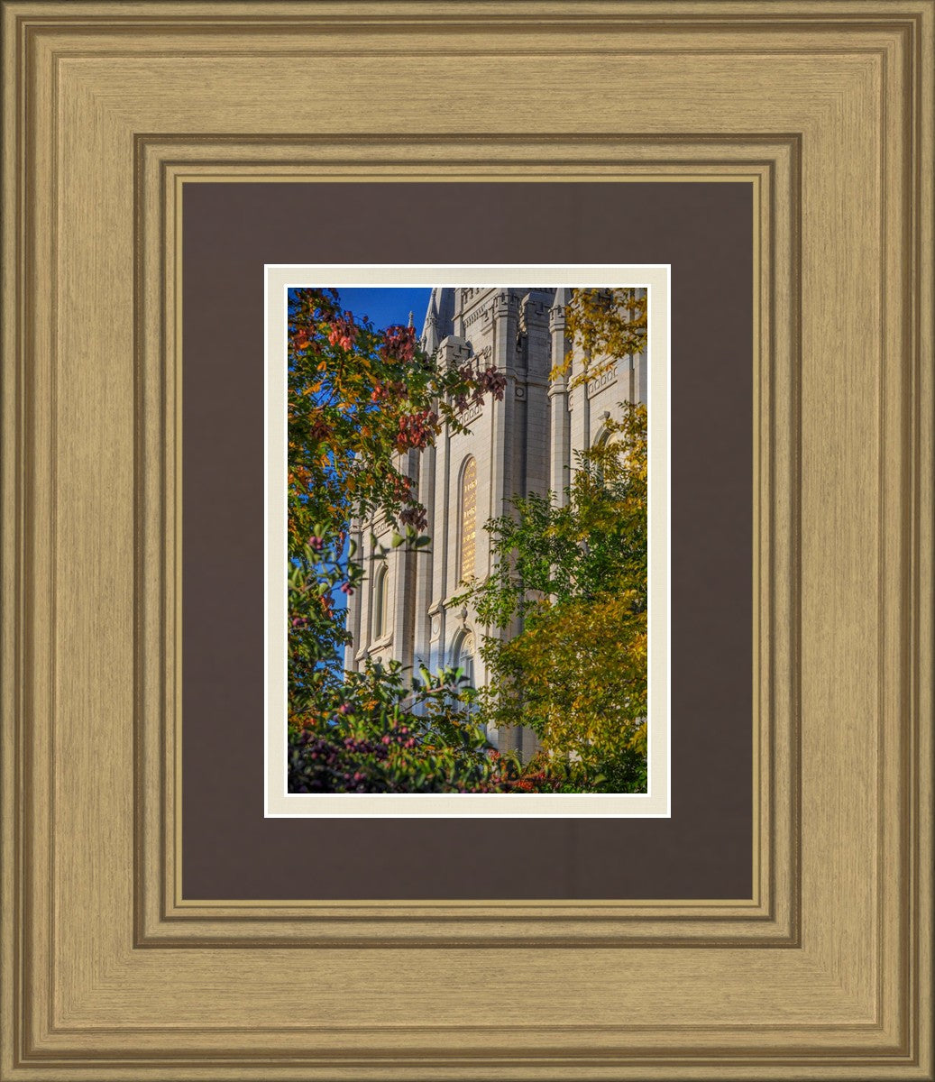 Salt Lake City Temple His Declaration