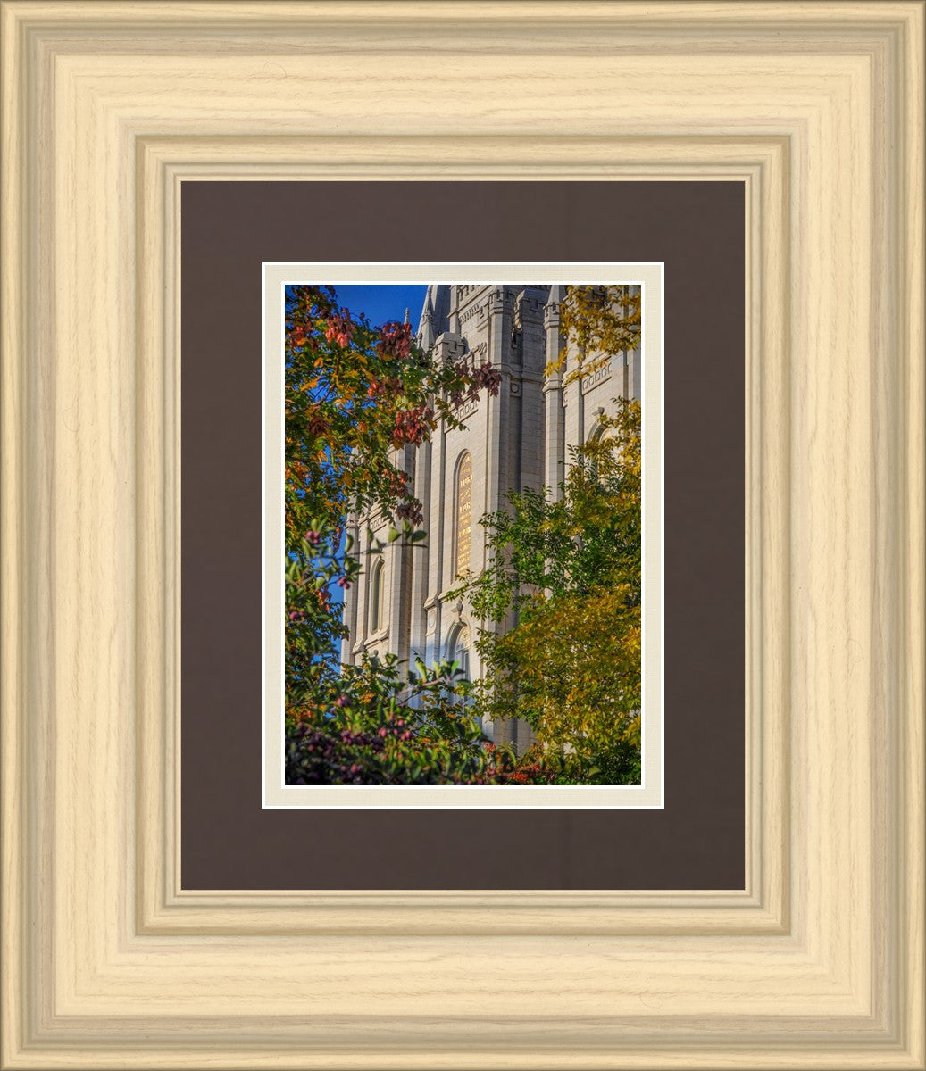 Salt Lake City Temple His Declaration