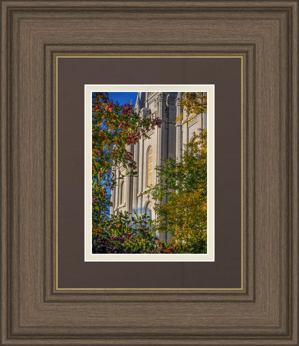 Salt Lake City Temple His Declaration