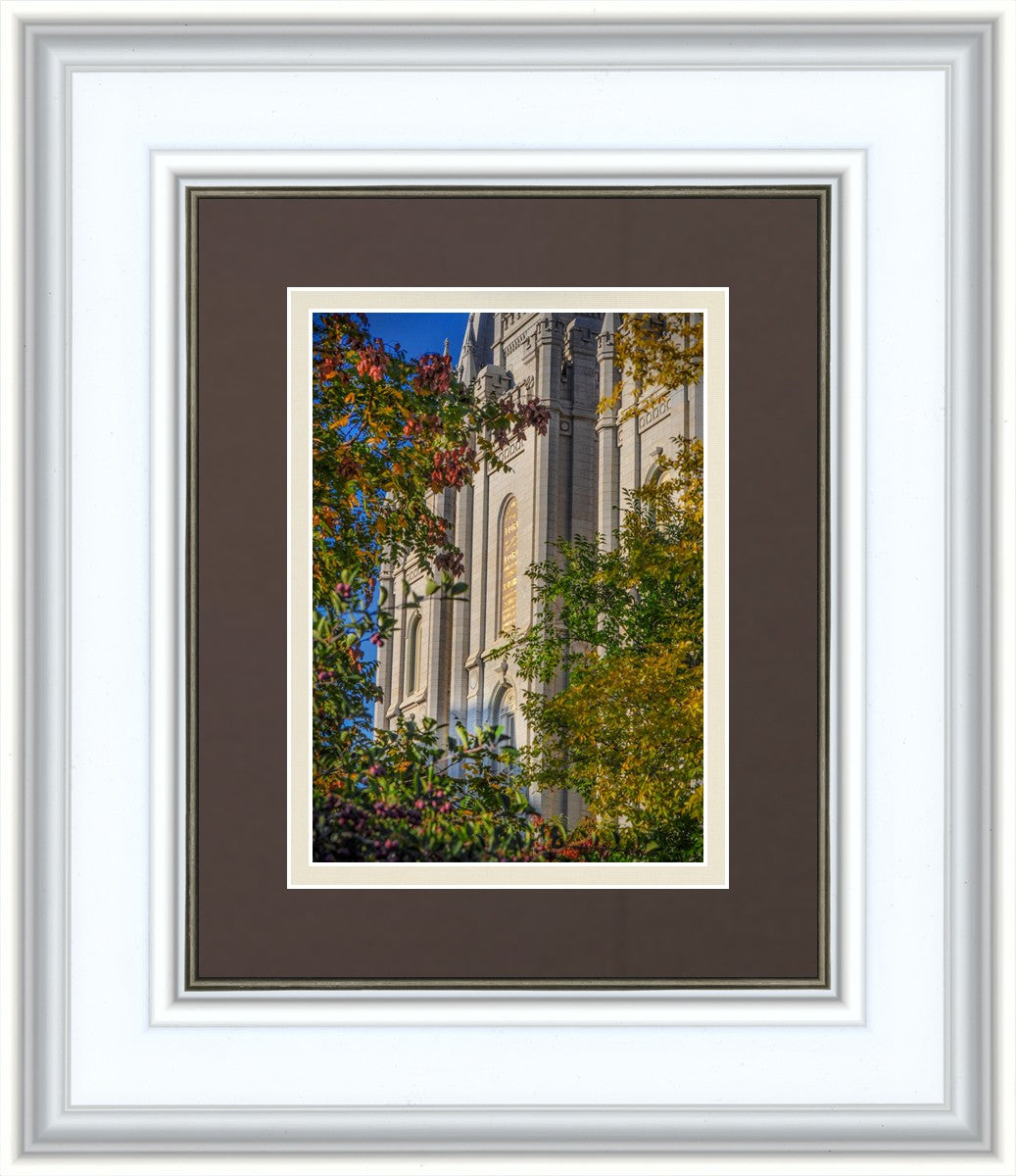 Salt Lake City Temple His Declaration