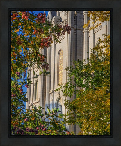 Salt Lake City Temple His Declaration Gallery Wrap