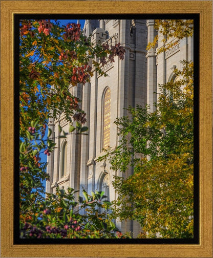 Salt Lake City Temple His Declaration Gallery Wrap