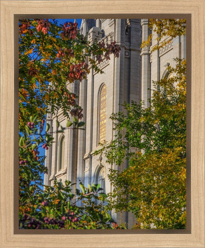 Salt Lake City Temple His Declaration Gallery Wrap