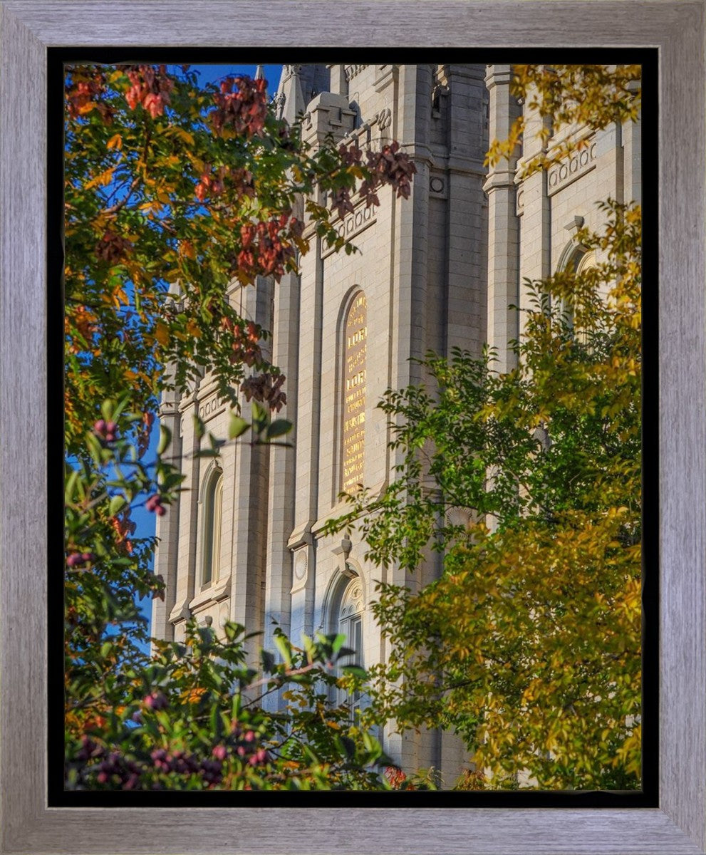 Salt Lake City Temple His Declaration Gallery Wrap