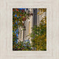 Salt Lake City Temple His Declaration