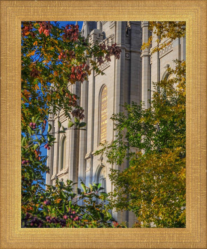 Salt Lake City Temple His Declaration