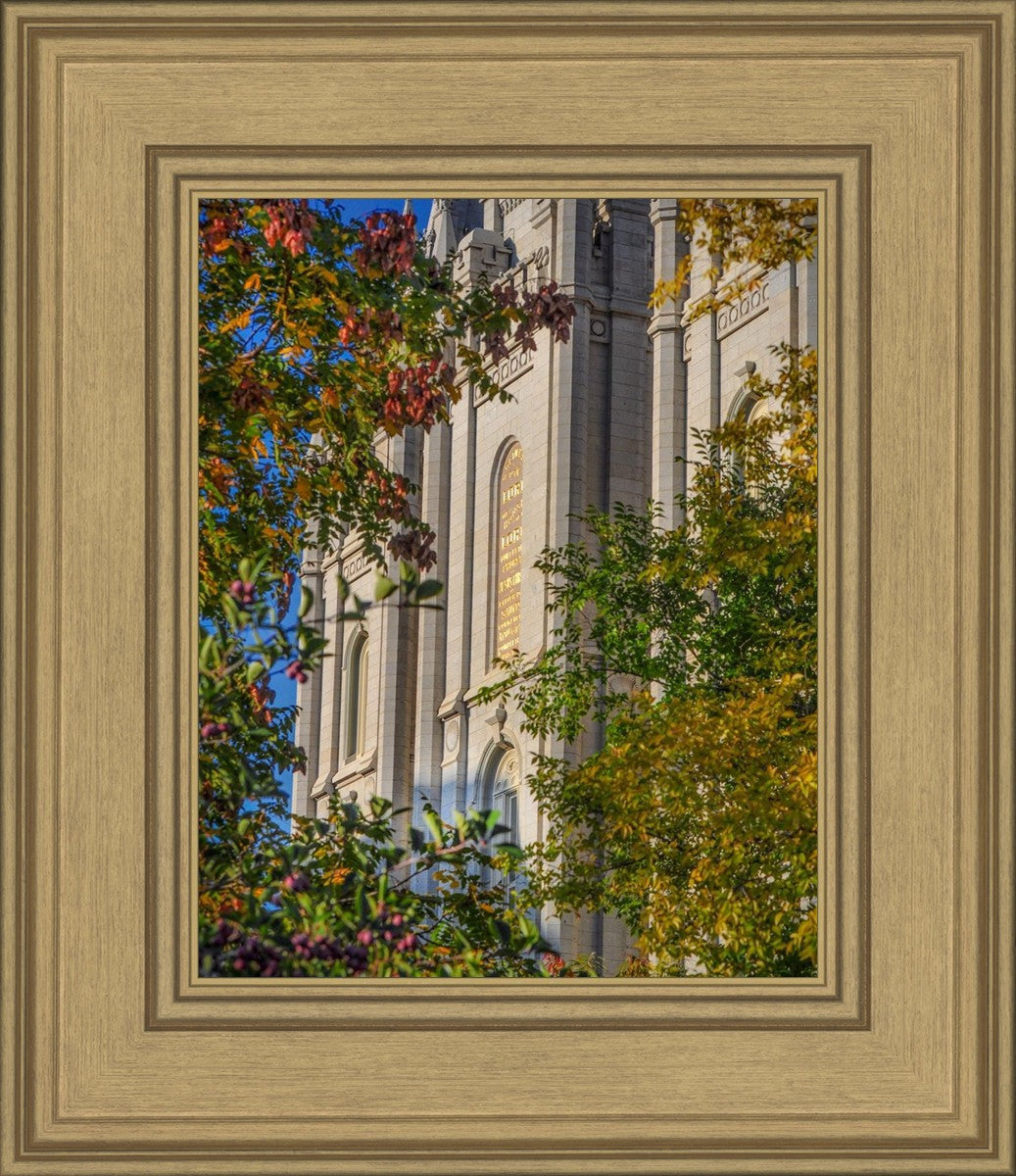 Salt Lake City Temple His Declaration