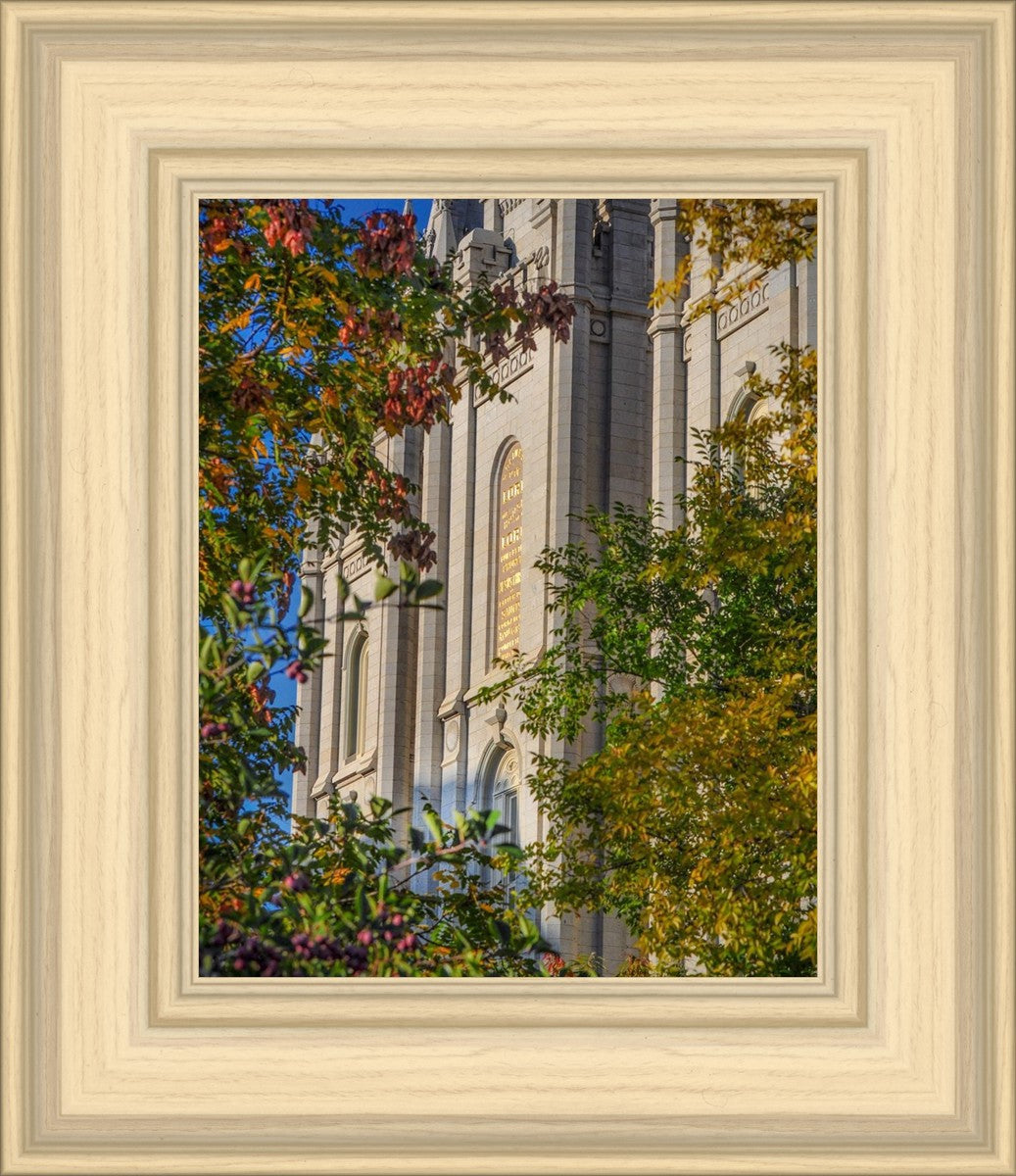 Salt Lake City Temple His Declaration