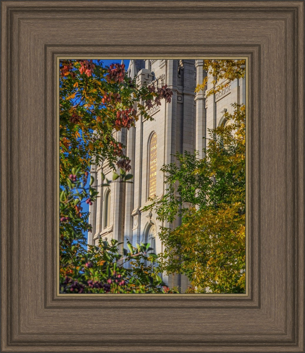 Salt Lake City Temple His Declaration