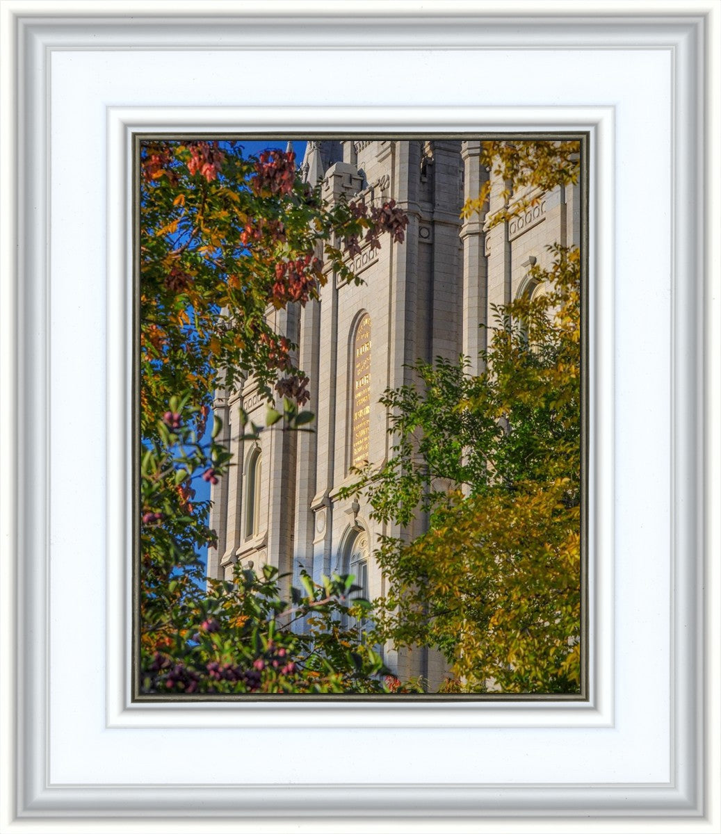 Salt Lake City Temple His Declaration