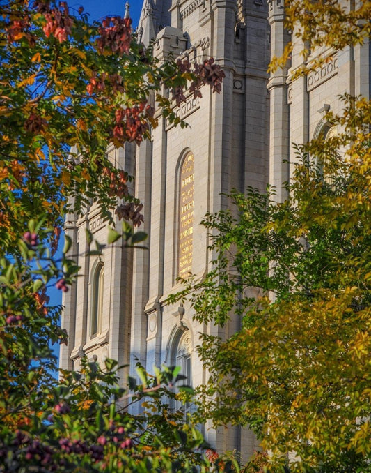 Salt Lake City Temple His Declaration Gallery Wrap